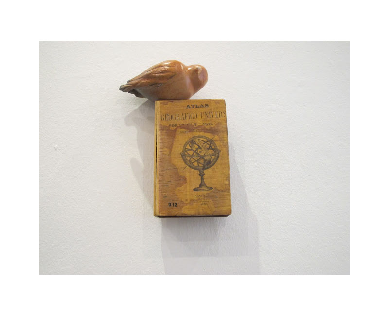 libros volumétricos7